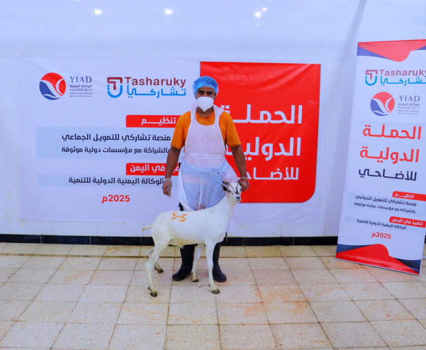 الاضاحي 01