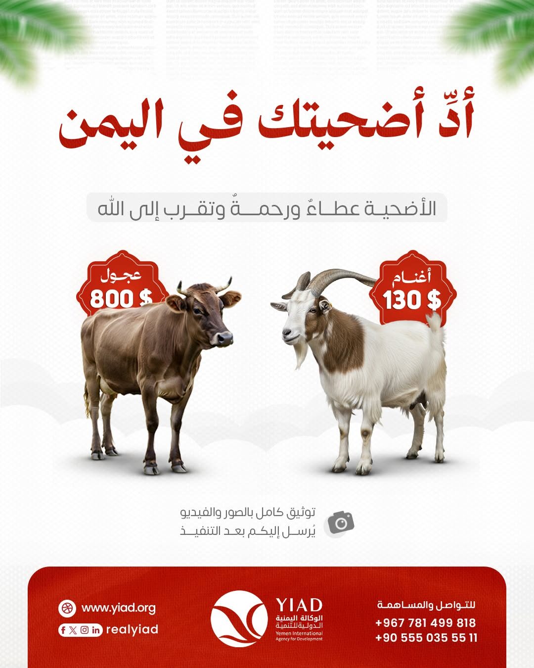 الاضحية