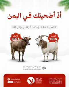 ساهم في مشروع الأضاحي… وكن سبباً في إدخال الفرح على الأسر المحتاجة